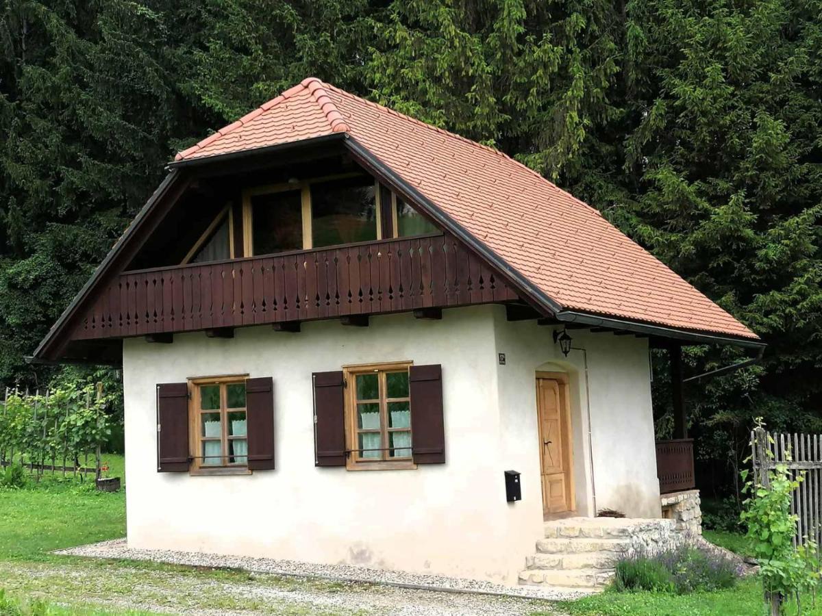 Holiday House Apartment Voukov Mlin Smarje pri Jelsah Bagian luar foto