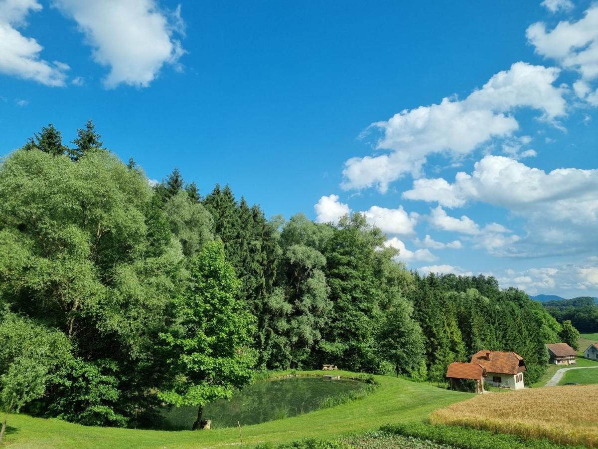 Holiday House Apartment Voukov Mlin Smarje pri Jelsah Bagian luar foto